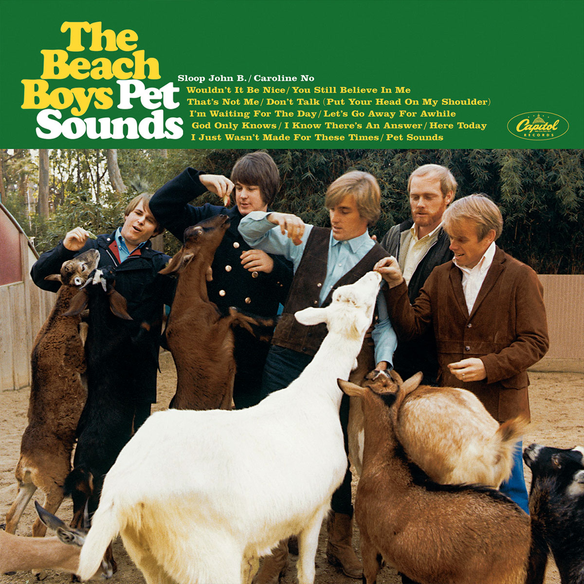 Pet Sounds (Album Cover) by The Beach Boys